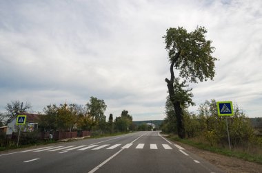 Dönek bir yol, ağaçlar ve yaya geçidi tabelalarıyla süslenmiş sakin bir kırsal alanda uzanır, yumuşak gri bulutların üzerine kurulur..