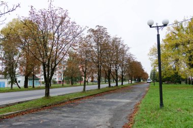Sakin bir cadde sonbaharın sakin atmosferini yansıtır. Ağaçlar kısmen çıplak ve düşmüş yapraklar bu bulutlu günde zemini kaplar..