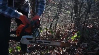 Parlak sonbahar yaprakları arasında, ekose giydirilmiş bir insan ağaçların arasından süzülen sıcak güneş ışığıyla aydınlatılan, aşırı gelişmiş bitkileri budamak için testereyle özenle çalışır..