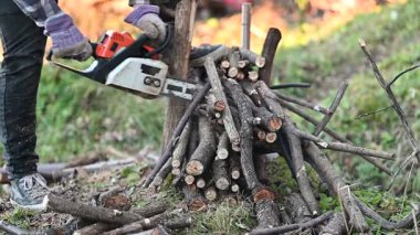Kendini adamış bir marangoz, yeni kesilmiş dallar ve yeşilliklerle çevrili elektrikli testere kullanarak odunları titizlikle kesmeye çalışır..