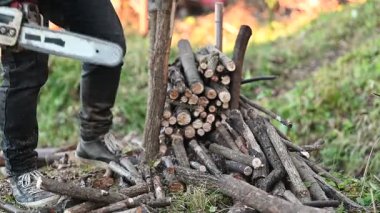 Bir insanın odun kestiği sakin bir orman açıklığında, yeşil alanların ortasında düzgün istiflenmiş odun yığınları hazırlarken odaklanılmış bir çaba..