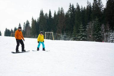 İki snowboardcu, kışın serin ve bulutlu gökyüzünün altında ihtişamlı çam ağaçlarına karşı yeteneklerini sergileyerek karlı arazide geziniyor..