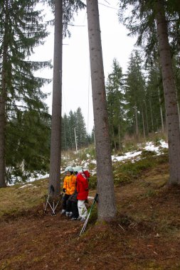 Renkli kış kıyafetleri içinde üç maceraperest, uzun yeşil ağaçlarla çevrili karlı bir ormanda heyecanlı bir yolculuğa hazır olun..