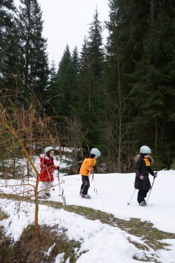 Renkli kış kıyafetleri giymiş bir grup çocuk ormanda karlı bir patikadan geçiyor, güzel kış manzarasını izlerken kayak yapmanın heyecanının tadını çıkarıyorlar..