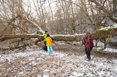 Kış manzarasında, bir aile bir patika boyunca birlikte yürür, karla kaplı zemin ve etraflarındaki çıplak ağaçların arasında yavaşça gezinir..