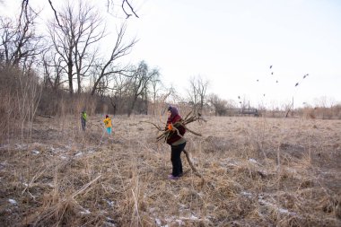 Üç birey, yapraksız ağaçlar ve altın otlarla çevrili, sakin bir kış tarlasında dal ve dallar topluyor ve doğanın güzelliklerinin arasında vakit geçiriyorlar..