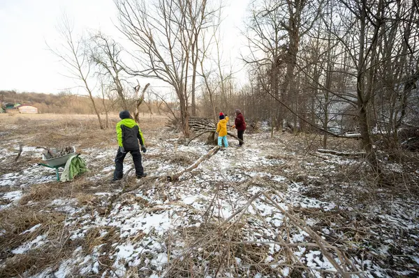 Çocuklar ve yetişkinler karlı bir ormanda toplanıyor, yakacak odun için düşen dalları toplamak için takım çalışması yapıyorlar, kışın soğuğunu gülümseyerek kucaklıyorlar..