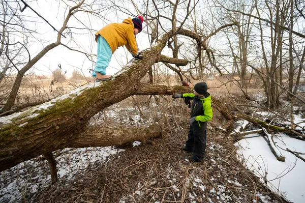İki çocuk, yapraksız ağaçlar ve gri gökyüzünün altında sakin bir manzarayla çevrili, bir kış deresi yakınlarındaki büyük bir ağaca tırmanarak maceralı bir keşfe çıkıyorlar..