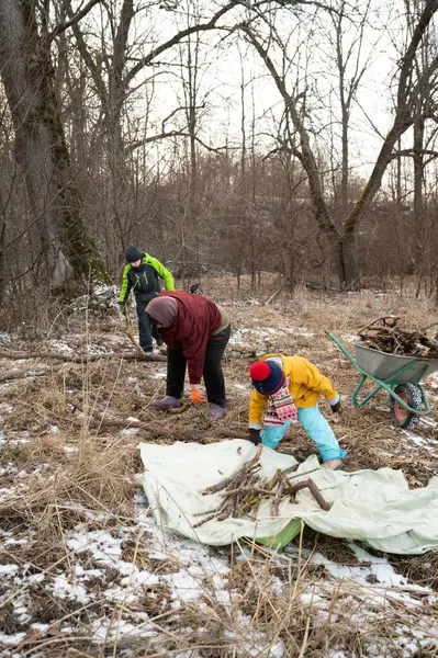 Serin bir kış günü, aileler bir orman bölgesinde birlikte çalışır, yakacak odun toplar ve çevreyi düzenler, dışarıda vakit geçirir ve toplum bağlarını güçlendirirler..