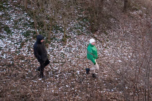 İki birey, kışın kuru yapraklar ve hafif karlar arasında huzurlu bir yürüyüşün tadını çıkarırlar..