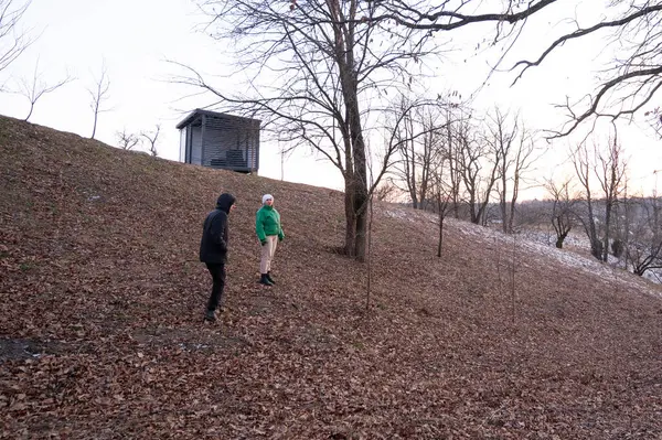 Barışçıl bir yürüyüşün tadını çıkaran iki insan, sonbahar yapraklarıyla kaplı eğimli bir arazide güneş çıplak ağaçların arkasında batarken, doğada sakin bir atmosfer yaratıyor..