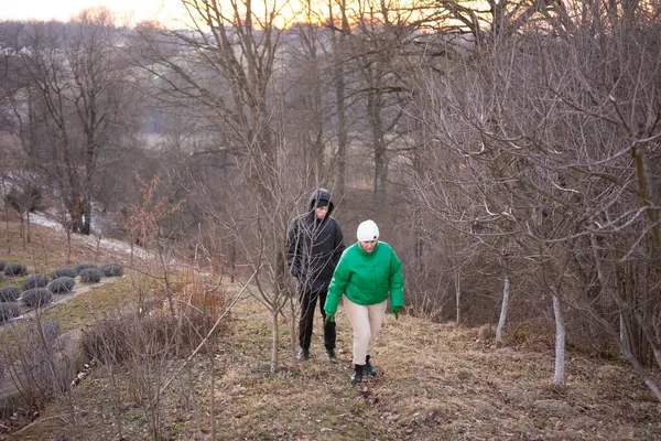 İki birey, kışın sakin atmosferine girerken, çıplak ağaçlar ve solgun ışıklarla çevrili, yumuşak bir yamaç boyunca sakin bir şekilde yürürler..
