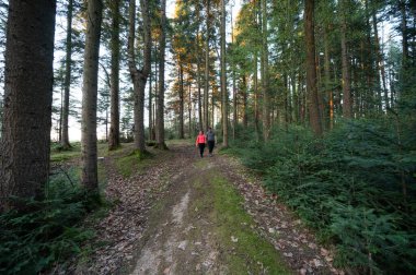 İki arkadaş sarmal bir toprak yolda yürüyor. Etrafı ağaçlarla çevrili. Gün batımında sakin bir ormanın dingin güzelliği içinde..