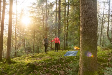 Güneşin battığı huzurlu bir ormanda, yosun kaplı bir alanda el ele yürüyen iki birey ağaçların arasında sıcak bir parıltı yaratıyor ve sakin atmosferi güçlendiriyor..