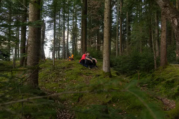 Arkadaşlar yemyeşil yemyeşil bir ormanda dinleniyor. Etrafı ağaçlar ve yumuşak yosunlarla çevrili. Güzel bir alacakaranlıkta doğanın huzur dolu özünü yakalıyorlar..