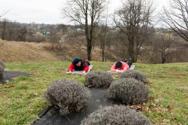 Bir grup birey, yemyeşil yemyeşil ve eşsiz bitki oluşumlarıyla çevrili bir yamaçta, sakin ve ferahlatıcı bir atmosferi kucaklayarak sağlıklı yaşam faaliyetleri uyguluyor..