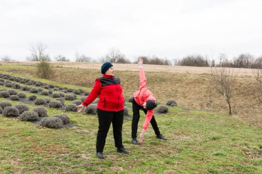 İki birey, serin bir lavanta tarlasında yoga yapıyor, serin bahar havasını kucaklıyor ve doğanın güzelliğiyle bağ kuruyor..