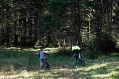 İki figür, muhtemelen bir baba ve oğul, bisikletlerini orman yolunda yürütürler. Güneş ışığı ağaçların arasından süzülüyor, sahneyi aydınlatıyor..
