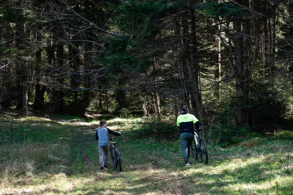 İki figür, muhtemelen bir baba ve oğul, bisikletlerini orman yolunda yürütürler. Güneş ışığı ağaçların arasından süzülüyor, sahneyi aydınlatıyor..