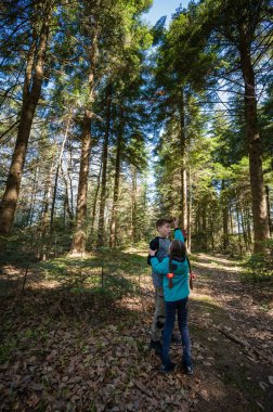 Orman macerasındaki kardeşler ya da arkadaşlar. Güneş ışığı uzun ağaçların arasından süzülür, yolu aydınlatır. Çocukların eğlenceli etkileşimi bir özgürlük ve keşif duygusunu yakalar..