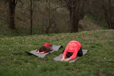 İki birey yemyeşil bir ortamda dinlendirici bir yoga uygulamasına dalıyorlar, sabahın erken saatlerinde doğanın sakinliğini kucaklıyorlar..