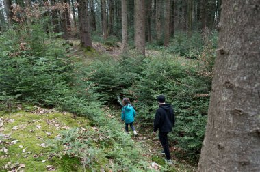 Parlak mavi ceketli bir çocuk, yoğun yeşillikler ve açık gökyüzünün altında sonbahar renkleriyle dolu uzun ağaçlarla çevrili sakin bir orman yolunda bir yetişkinin önünde yürüyor..