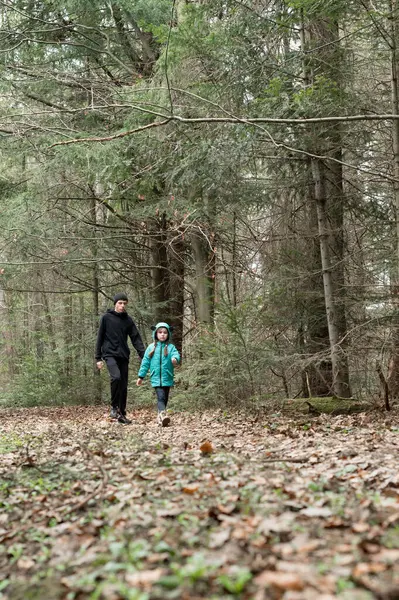 Bereketli yeşil ormanda sakin bir yürüyüş yapan bir ebeveyn ve çocuk doğayı keşfeder, gevrek havanın ve ayak altında çatırdayan yaprakların sesinin tadını çıkarırlar..