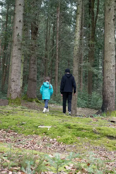 Uzun ağaçlar ve yumuşak yosunlarla çevrili, huzur ve macera dolu serin bir günde doğanın tadını çıkaran iki kişi..