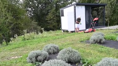 Bir çim biçme makinesiyle lavanta sıralarının arasında çimenleri biçen, lavanta tarlasında tırpanlı bir adam.