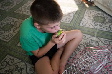 Küçük, yeşil ve sarı bir muhabbet kuşunu sevgiyle tutan genç bir çocuk yerde oturuyor. Yakınlarda bir kuş kafesi görünüyor. Sahne samimi ve iç açıcı..
