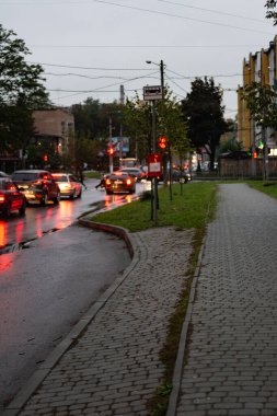 Araçlar hareketli bir caddede süzülürken yağmur damlaları yavaşça düşer. Yansımalar ve renkli trafik ışıklarıyla süslenir ve büyüleyici bir atmosfer yaratır..