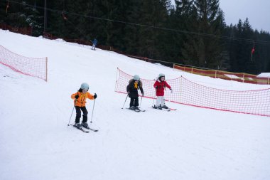 Üç genç sporcu karla kaplı bir yamaçta süzülerek kayak becerilerini geliştirirken aynı zamanda görkemli Evergreens 'in huzurlu ortamının ve yavaşça düşen kar yağışının tadını çıkarıyorlar..