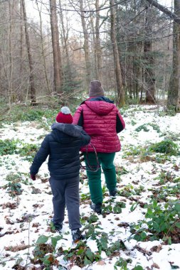 Bir çocuk ve yetişkin kış ormanlarında karla kaplı bir patika boyunca el ele yürür. Düşük bitkiler karları dikizler. Sahne huzurlu ve kışlık..