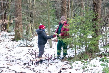 Kış ormanında bir çocuk ve yetişkin, karla kaplı ormanda taşınmak üzere, onu eski bir kızağa bağlayan, her zaman yeşil olan küçük bir ağaç seçer..