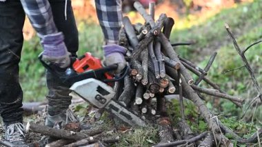 Yetenekli bir oduncu testereyle bir yığın dalı özenle keser. Güneş ışığı ağaçların arasından süzülüyor, ormanın sakin ortamındaki çalışmaları aydınlatıyor..