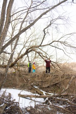 In a serene winter setting, three explorers navigate a fallen tree while surrounded by bare branches and snow covered ground. Their camaraderie showcases a love for nature.
