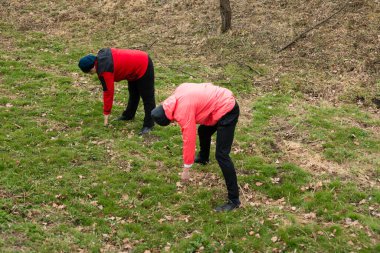 Canlı yeşil bir alanda, iki insan, doğanın cömertliğini keşfetme sevincine dalmış, yenilebilir bitkiler için toprağı yakından inceliyor..