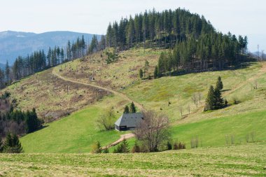 Huzurlu kırsal bir manzara, canlı yeşil tepeler ve açık mavi gökyüzünün altındaki uzun ağaçlarla çevrili büyüleyici bir geri çekilme sergiliyor. Huzurlu bir yansıma anı yaratıyor..