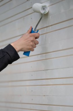 Duvarı silindirle beyaza boyamak, ahşap duvarları boyamak..