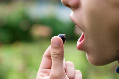 Parmaklarının arasında tek bir böğürtlen yemek üzere olan birinin yakın çekimi. Bulanık yeşil arka plan doğal bir açık hava ortamını işaret ediyor..