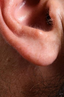 İnsan kulağının detaylı makro fotoğrafı. Karmaşık yapısını ve ince saçlarını gösteriyor. Görüntü hassas deri dokusunu ve ince renk değişimlerini vurgular.