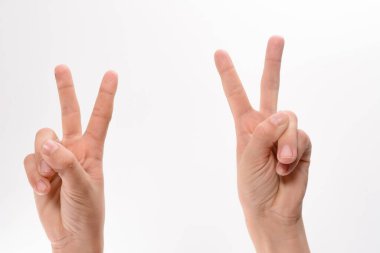 Barış işaretini gösteren iki elin yakın plan çekimi, düz beyaz bir arkaplan üzerine kurulmuş. Resim basit ve çok yönlü, çeşitli projeler için ideal..
