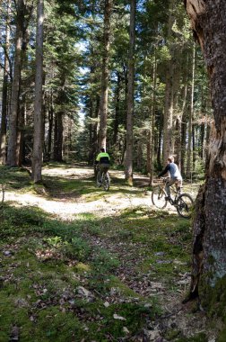 İki bisikletçi sık bir ormanda dağ bisikleti sürerler. Güneş ışığı ağaçların arasından süzülüp yerde lekeli bir etki yaratıyor..