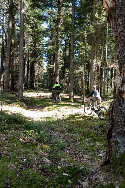 İki bisikletçi sık bir ormanda dağ bisikleti sürerler. Güneş ışığı ağaçların arasından süzülüp yerde lekeli bir etki yaratıyor..