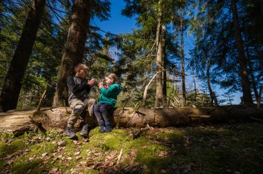 Kardeşler yemyeşil bir ormanda güneşli bir günün tadını çıkarırlar. Düşmüş bir kütüğün üzerinde birlikte otururlar, ağaçların arasında eğlenceli bir etkileşime girerler.