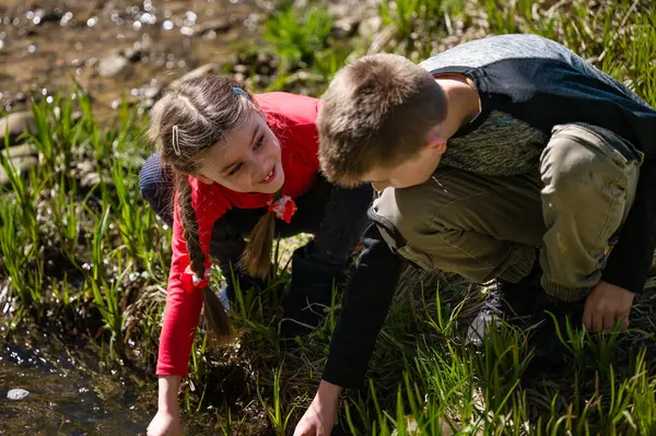İki küçük çocuk, kırmızılı bir kız ve gri elbiseli bir oğlan, küçük bir derede çömelmiş, suyu ve yakınlardaki bitkileri gözlemliyorlar. Açık havada güneşli bir gün.