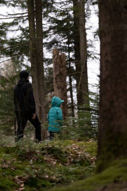 Sakin bir orman ortamında, bir ebeveyn ve çocuk sessizce dolaşır, yüksek ağaçlar ve yemyeşil çiçeklerle çevrili, doğanın huzurlu bir anını paylaşır..