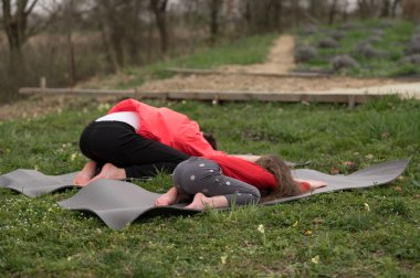 İki birey, doğayla iç içe geçmiş güneşli bir lavanta tarlasında paspaslar üzerinde huzurlu bir yoga seansının keyfini çıkarıyor..