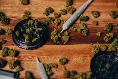 Marihuana ahşap bir masada sığlaşıyor. Öğütücü, filtre kağıdı ve sigara. Cbd ya da thc, indica ya da sativa tomurcukları içeren bir masa arkasındaki uyuşturucular.