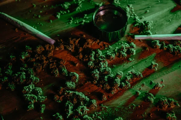 Наркотики Марихуана Гепатит Бутоны Сатива Индика Зеленом Неоне Трава Курящие — стоковое фото